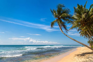 Sri Lanka 'da güneşli bir günde Dalawella Plajı