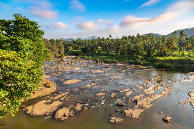 Sri Lanka 'nın merkezinde orman ve nehir