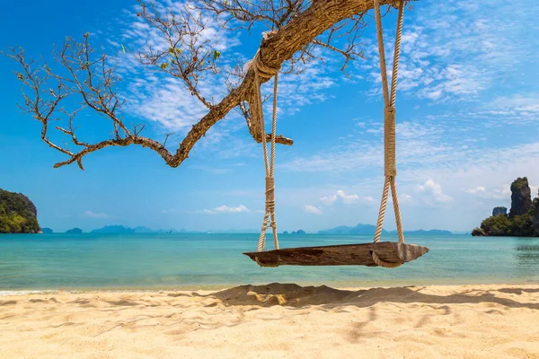 Balanço Vazio Árvore Uma Praia Tropical Dia Ensolarado — Fotografia de Stock