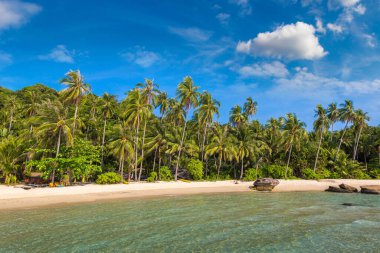 Güneşli bir günde güzel tropikal plajlar