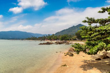 Samui Adası, Tayland 'daki güzel tropikal plaj