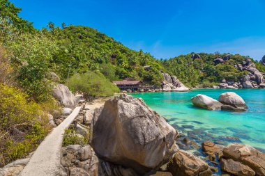 Tayland 'daki Koh Tao adasında özgürlük plajı.