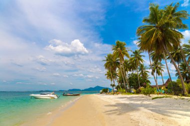 Koh Mook (Koh Muk) adasındaki tropik plaj, Tayland