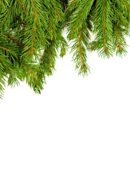 Beyaz arkaplanda izole edilmiş Noel yeşili çerçeve