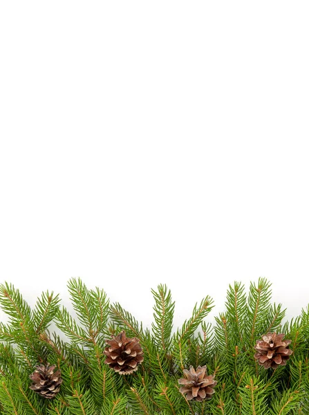 Christmas Green Framework Isolated White Background — Stock Photo, Image