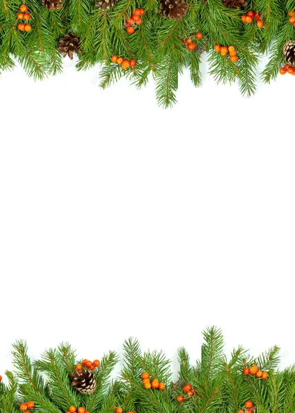 Christmas Green Framework Cones Holly Berry Isolated White Background — Stock Photo, Image