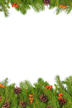 Beyaz arka planda koni ve kutsal böğürtlenli Noel yeşil çerçevesi