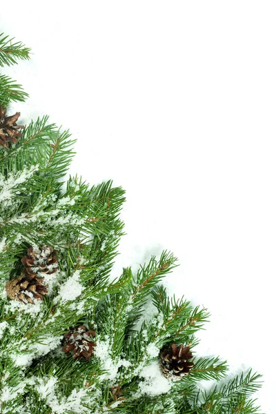 Christmas Background Snow Cones Isolated White — Stock Photo, Image