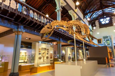 GLASGOW, İngiltere - 14 Haziran 2022: Glasgow Üniversitesi 'ndeki Hunterian Müzesi, İskoçya, İngiltere