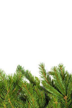 Beyaz arkaplanda izole edilmiş Noel yeşili çerçeve