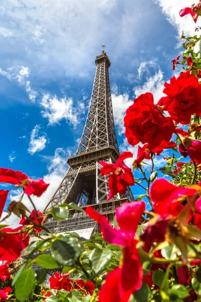 Πύργος Του Άιφελ Και Κόκκινα Τριαντάφυλλα Στο Παρίσι Γαλλία Μια — Φωτογραφία Αρχείου