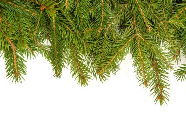 Beyaz arkaplanda izole edilmiş Noel yeşili çerçeve