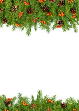 Beyaz arka planda koni ve kutsal böğürtlenli Noel yeşil çerçevesi