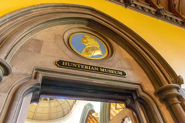 Glasgow Royaume Uni Juin 2022 Musée Hunterian Aux Cloîtres Université — Photo