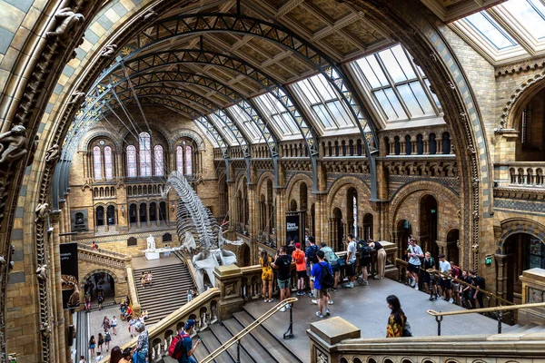 ロンドン 2022年6月18日 ロンドン自然史博物館の内部と英国ロンドンの本堂にある青い鯨骨 ストック写真