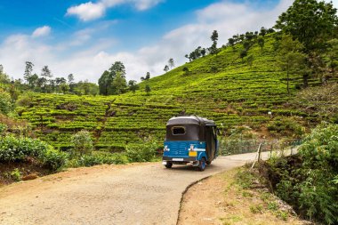 Nuwara Eliya, Sri Lanka 'daki çay çiftliklerinde Tuk tuk.