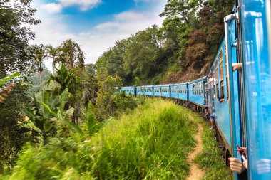 Nuwara 'da tren Eliya, Sri Lanka' da yaz günü