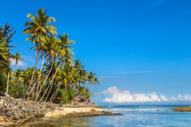 Sri Lanka 'da güneşli bir günde kumsal