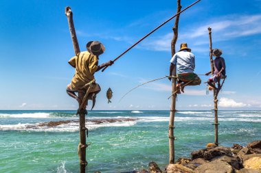 Local Fishermen fishing in traditional way at the beach in Sri Lanka