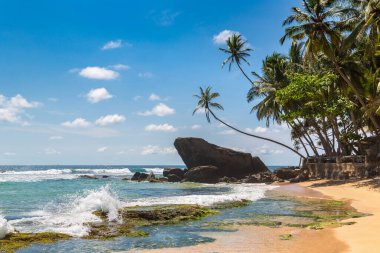 Sri Lanka 'da güneşli bir günde Dalawella Sahili' nde kayalar ve palmiye ağaçları