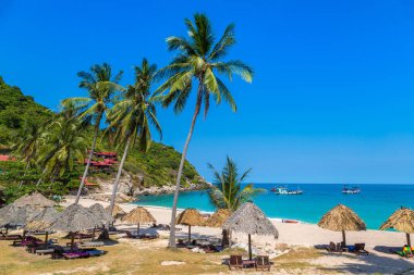 Tayland 'daki Koh Tao adasındaki Aow Luek plajında plaj şemsiyesi.