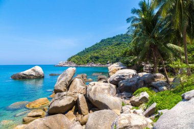 Güzel Ao Hin Wong Sahili Koh Tao Adası, Tayland