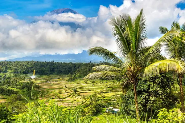 Arroz Terraço Campo Vulcão Agung Bali Indonésia Dia Ensolarado — Fotografia de Stock