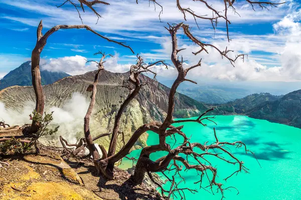 Panoramic Aerial View Crater Active Volcano Ijen Dead Tree Java — Stock Photo, Image