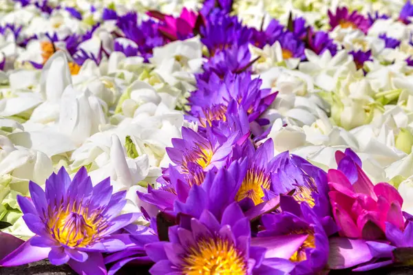 Ceremonial Composition Made Lotus Flowers Big White Ruwanwelisaya Stupa Anuradhapura — Stock Photo, Image
