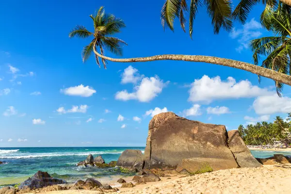 Árvore Rochas Palmeiras Dalawella Beach Dia Ensolarado Sri Lanka Imagens Royalty-Free