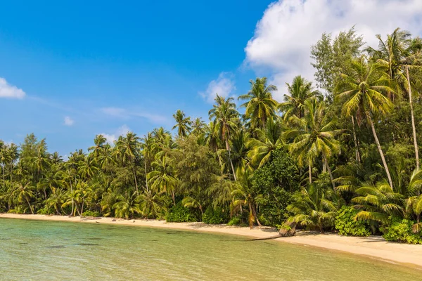 Bir Yaz Gününde Güzel Tropikal Plajlar Telifsiz Stok Fotoğraflar