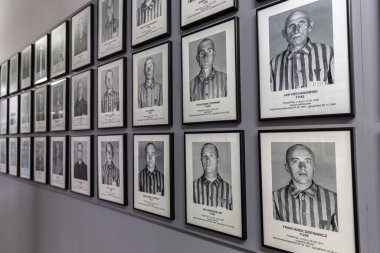 OSWIECIM, POLAND - 7 Eylül 2022: güneşli bir günde Auschwitz toplama kampındaki mahkumların fotoğraf galerisi, Oswiecim, Polonya