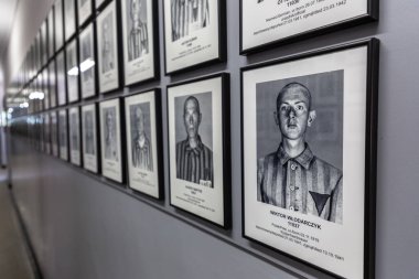OSWIECIM, POLAND - 7 Eylül 2022: güneşli bir günde Auschwitz toplama kampındaki mahkumların fotoğraf galerisi, Oswiecim, Polonya