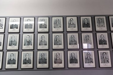 OSWIECIM, POLAND - 7 Eylül 2022: güneşli bir günde Auschwitz toplama kampındaki mahkumların fotoğraf galerisi, Oswiecim, Polonya