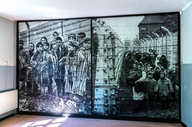 OSWIECIM, POLAND - 7 Eylül 2022: güneşli bir günde Auschwitz toplama kampında fotoğraf sergisi, Oswiecim, Polonya