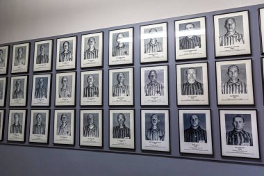 OSWIECIM, POLAND - 7 Eylül 2022: güneşli bir günde Auschwitz toplama kampındaki mahkumların fotoğraf galerisi, Oswiecim, Polonya
