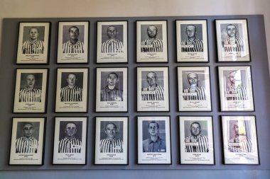 OSWIECIM, POLAND - 7 Eylül 2022: güneşli bir günde Auschwitz toplama kampındaki mahkumların fotoğraf galerisi, Oswiecim, Polonya
