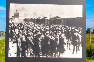 OSWIECIM, POLAND - 7 Eylül 2022: güneşli bir günde Auschwitz II toplama kampında fotoğraf sergisi, Oswiecim, Polonya