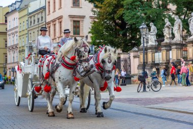KRAKOW, POLAND - 9 Eylül 2022: güneşli bir günde Krakow, Polonya 'da at arabaları