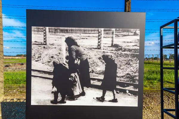 Oswiecim Poland September 2022 Photo Exhibition Auschwitz Concentration Camp Sunny — Stock Photo, Image