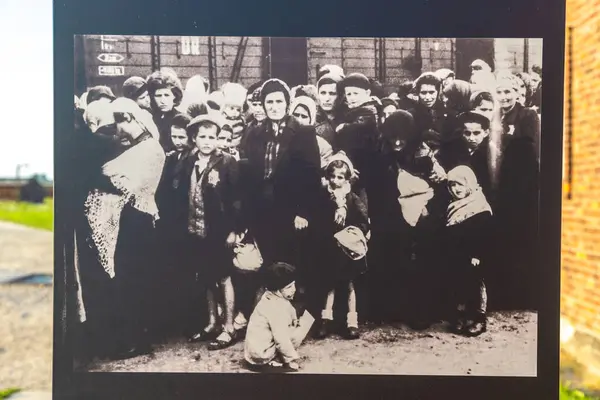 Oswiecim Polen September 2022 Fotoausstellung Konzentrationslager Auschwitz Einem Sonnigen Tag Stockbild