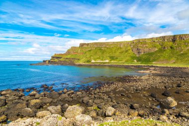 Causeway dev bir güzel yaz günü, Kuzey İrlanda