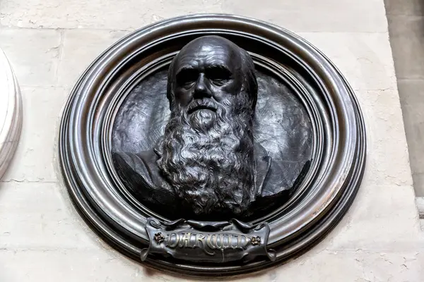 London Inggris September 2023 Medali Charles Darwin Westminster Abbey London Stok Gambar Bebas Royalti