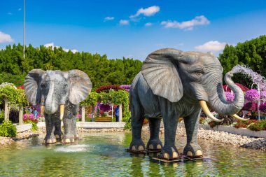 DUBAI, BİRLİK ARAB EMIRATES - 29 Mart 2020: Güneşli bir günde Dubai Mucize Bahçesi, Birleşik Arap Emirlikleri