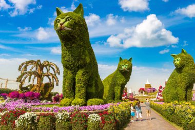 DUBAI, BİRLİK ARAB EMIRATES - 31 Ocak 2020: Güneşli bir günde Dubai mucizevi bahçesi, Birleşik Arap Emirlikleri