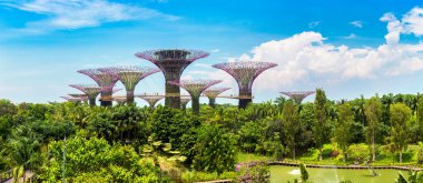 SINGAPORE - 23 Haziran 2019: Yaz günü Singapur Körfezi kıyısındaki Gardens 'taki Supertree Grove ve ve Skyway Panoraması