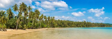Güneşli bir günde Tropikal plajın manzarası