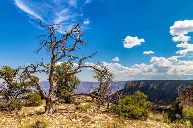 Güneşli bir günde Büyük Kanyon Ulusal Parkı, Arizona, ABD