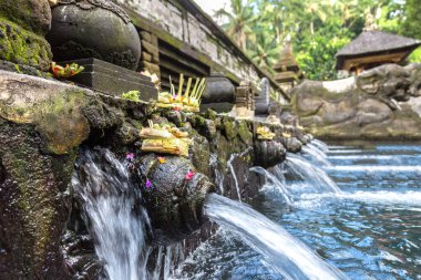 Endonezya, Bali 'deki Pura Tirta Boş Tapınağı' nda kutsal su