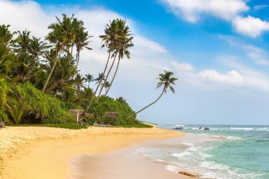 Sri Lanka 'da güneşli bir günde kumsal